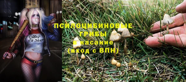 крисы Вяземский