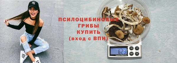 крисы Вяземский