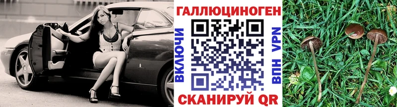 Псилоцибиновые грибы мицелий  Купить закладки  Котовск 