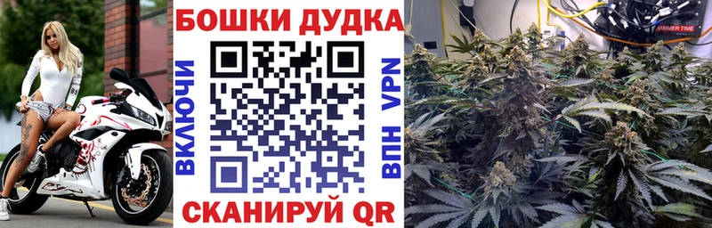 Марихуана Amnesia  Купить закладки  Котовск 
